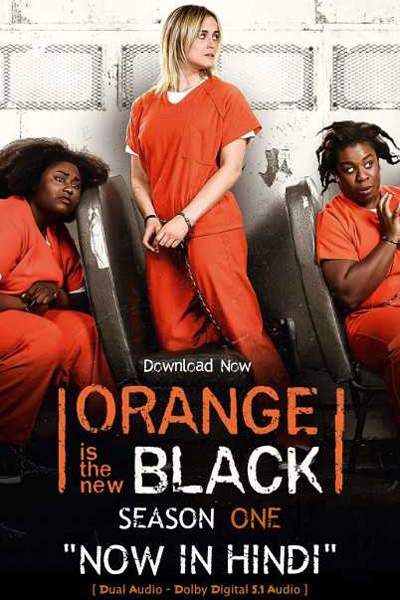 Download Orange Is the New Black (Season 01-07) {Hindi-English} NetFlix WEB Series 480p | 720p BluRay ESub