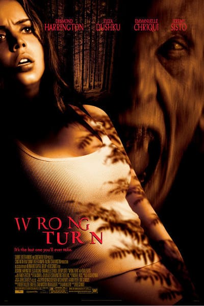 Download Wrong Turn (2003) Dual Audio {Hindi-English} Movie 480p | 720p BluRay 250MB | 1GB