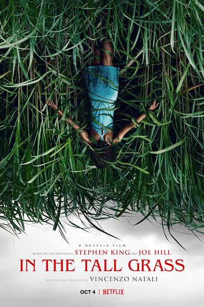 Download In the Tall Grass (2019) English Movie 480p | 720p WEB-DL 300MB | 850MB ESub