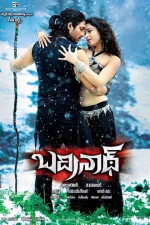 Download Badrinath (2011) UNCUT Dual Audio {Hindi-Telugu} Movie 480p | 720p | 1080p BluRay 500MB | 1.4GB