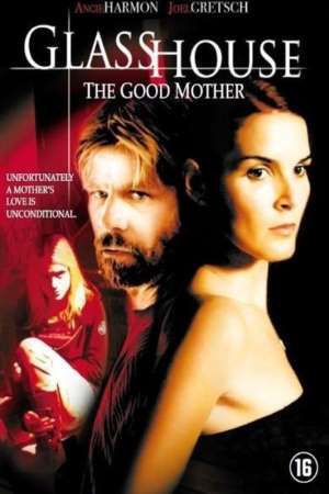 Download Glass House: The Good Mother (2006) Dual Audio {Hindi-English} Movie 480p | 720p HDRip 300MB | 1.2GB