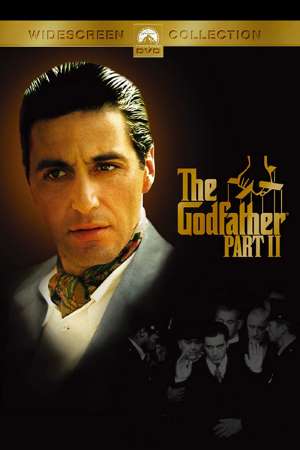 Download The Godfather: Part II (1974) Dual Audio {Hindi-English} Movie 480p | 720p | 1080p BluRay 700MB | 1.8GB