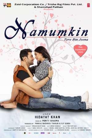 Download Namumkin Tere Bin Jeena (2020) Hindi Movie 480p | 720p | 1080p WEB-DL 260MB | 650MB