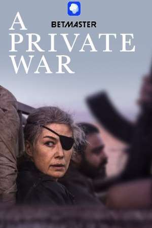Download A Private War (2018) Dual Audio {Hindi (HQ)-English} Movie 480p | 720p HDRip 350MB | 1GB