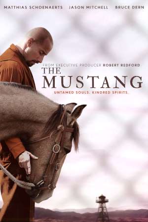 The Mustang (2019) Dual Audio {Hindi-English} Movie Download 480p | 720p | 1080p BluRay