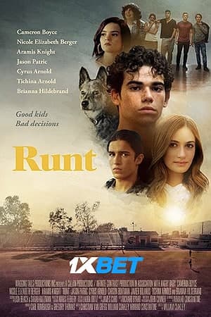 Download Runt (2020) Dual Audio {Hindi (Unofficial)-English} Movie 720p HDRip 850MB