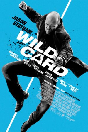 Download Wild Card (2015) Dual Audio {Hindi-English} Movie 480p | 720p | 1080p BluRay ESub