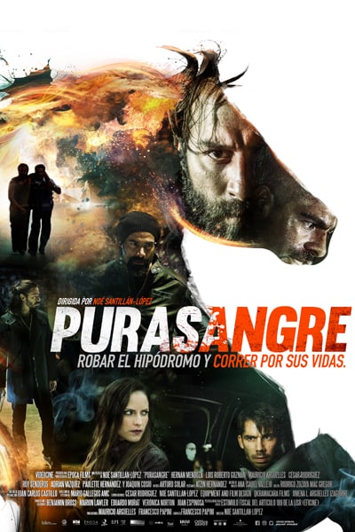 Download Purasangre (2016) Dual Audio {Hindi-Spanish} Movie 480p | 720p BluRay 350MB | 1.2GB