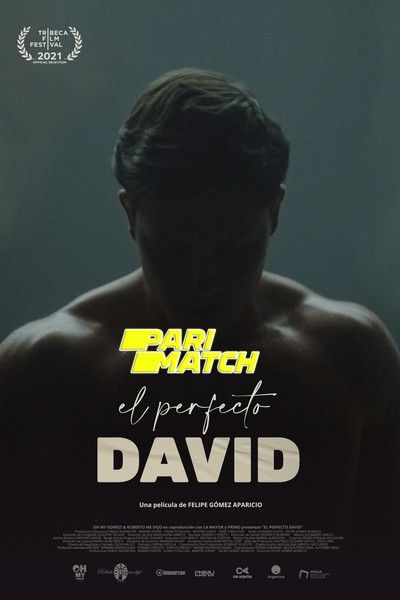 Download The Perfect David (2021) Hindi Dubbed (Voice Over) Movie 480p | 720p WEBRip