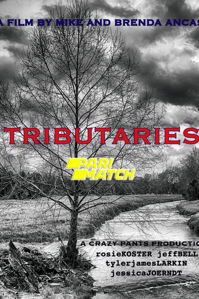 Download Tributaries (2021) Hindi Dubbed (Voice Over) Movie 480p | 720p WEBRip
