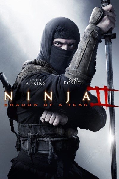 Download Ninja: Shadow of a Tear (2013) Dual Audio {Hindi-English} Movie 480p | 720p | 1080p BluRay Esubs