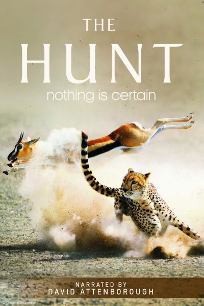 Download The Hunt (Season 1) English Web Series 720p | WEB-DL Esub