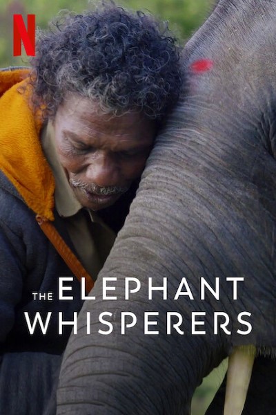 Download The Elephant Whisperers (2022) Dual Audio {Hindi-English} Movie 480p | 720p | 1080p WEB-DL ESubs