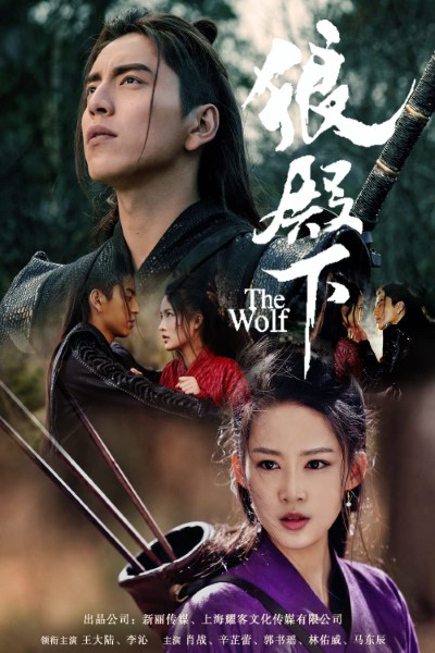 Download The Wolf (Season 01) Hindi Dubbed WEB Series 480p | 720p | 1080p WEB-DL ESubs