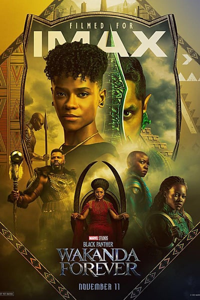 Download Black Panther: Wakanda Forever (2022) Dual Audio {Hindi-English} Movie 480p | 720p | 1080p | 2160p IMAX WEB-DL ESub