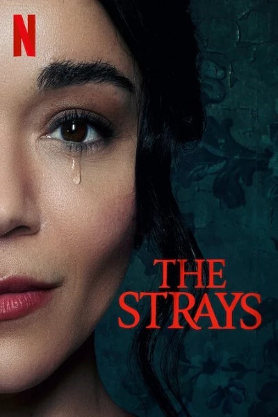 Download The Strays (2023) Dual Audio {Hindi-English} Movie 480p | 720p | 1080p WEB-DL ESubs