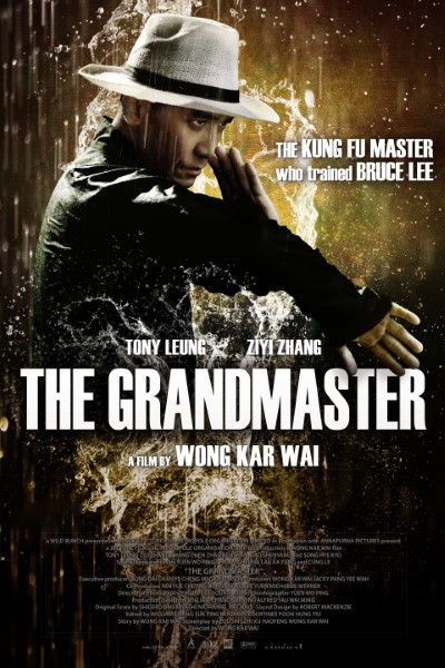 Download The Grandmaster (2013) Multi Audio {Hindi-English-Chinese} Movie 480p | 720p | 1080p WEB-DL ESub